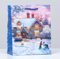 Пакет подарочный "Предновогодний вечер", 18 х 22,3 х 10 см Изображение Пакет подарочный "Предновогодний вечер", 18 х 22,3 х 10 см